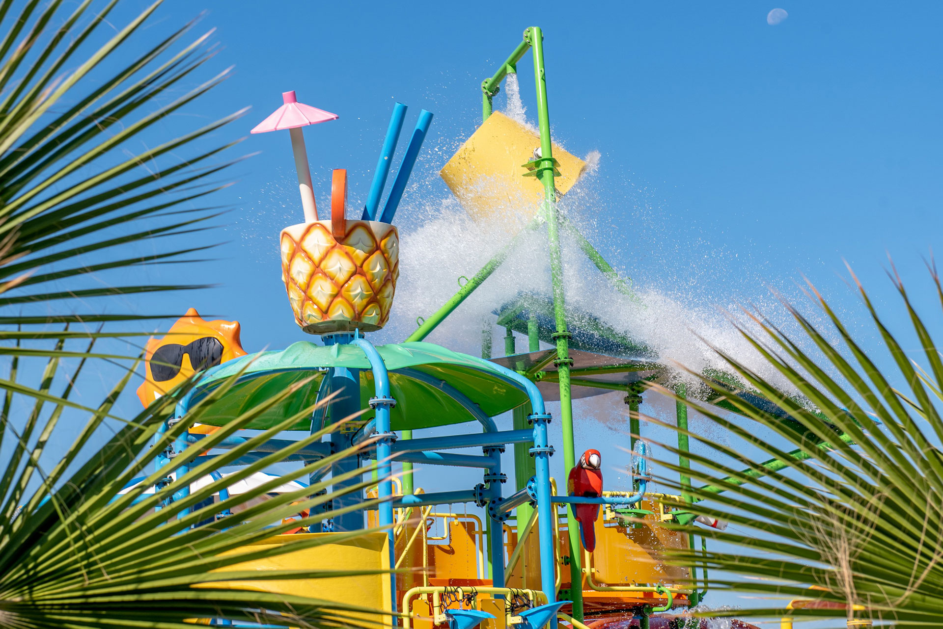 Gouves Park Splash Water Park palm tree leaves and a parrot with the slides in the background
