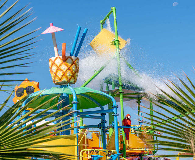 Gouves Park Splash Water Park palm tree leaves and a parrot with the slides in the background